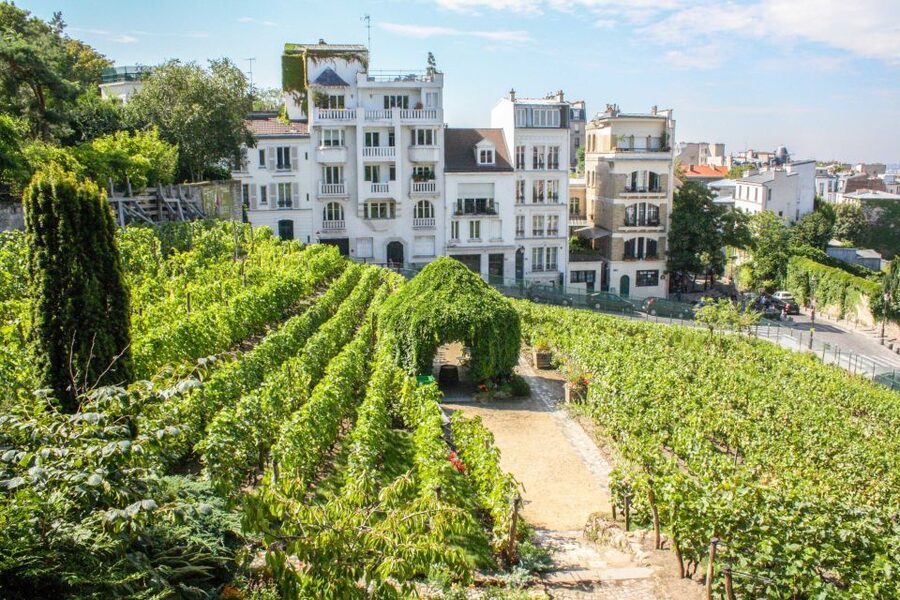 Paris: Montmartre & Sacre Coeur Guided Tour 12 guests 2,5h - Montmartre’s cobbled streets: what the 3-hour  hillside walk really delivers