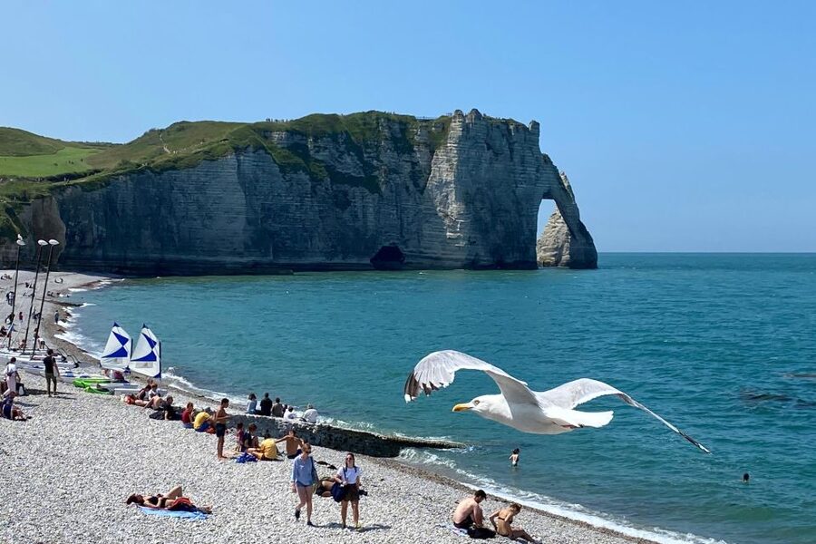 Paris: Normandy Rouen, Honfleur and Etretat Small-Group Tour - Key highlights worth getting excited about