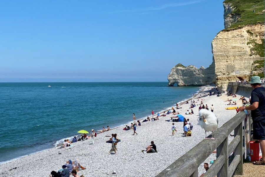 Paris: Normandy Rouen, Honfleur and Etretat Small-Group Tour - Price and value for a $454 day: what you’re really paying for