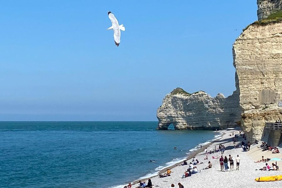 Paris: Normandy Rouen, Honfleur and Etretat Small-Group Tour - Étretat chalk cliffs: the walk that turns photos into memories