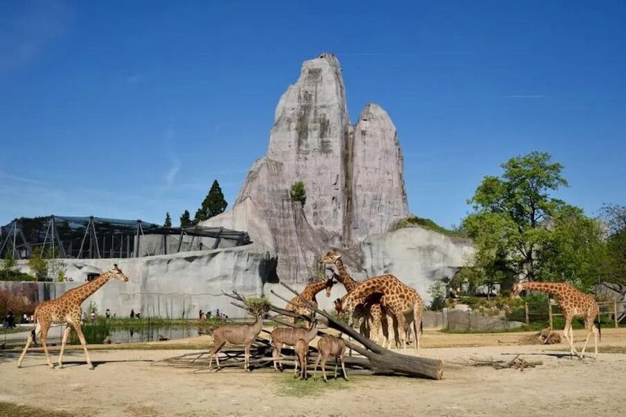 Paris: Paris Zoological Park Entrance Ticket - Europe Zone: Predators and Small Wildlife You Can Actually Watch
