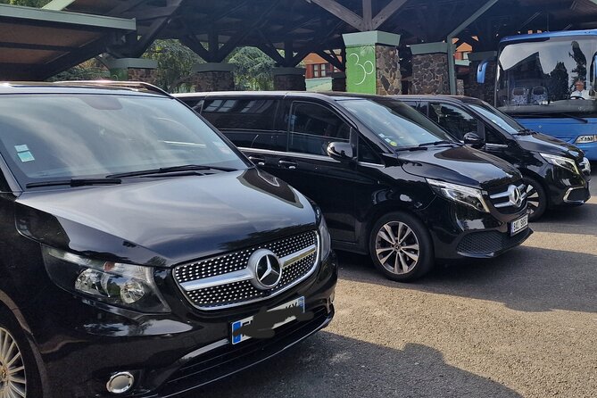 Paris Private City Tour Experience - The car matters: expect a ride, not a narrated museum