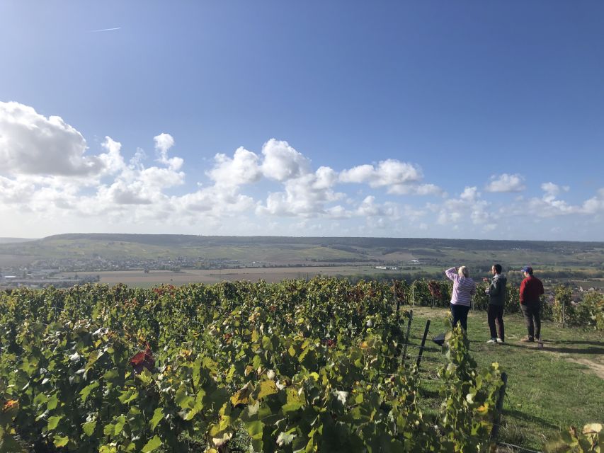 Paris: Private Day Trip to Champagne with 8 Tastings & Lunch - The pacing: why this 11-hour format works (and where it can feel long)