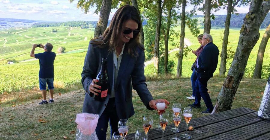 Paris: Private Day Trip to Champagne with 8 Tastings & Lunch - The big idea: why this private Champagne day feels worth it