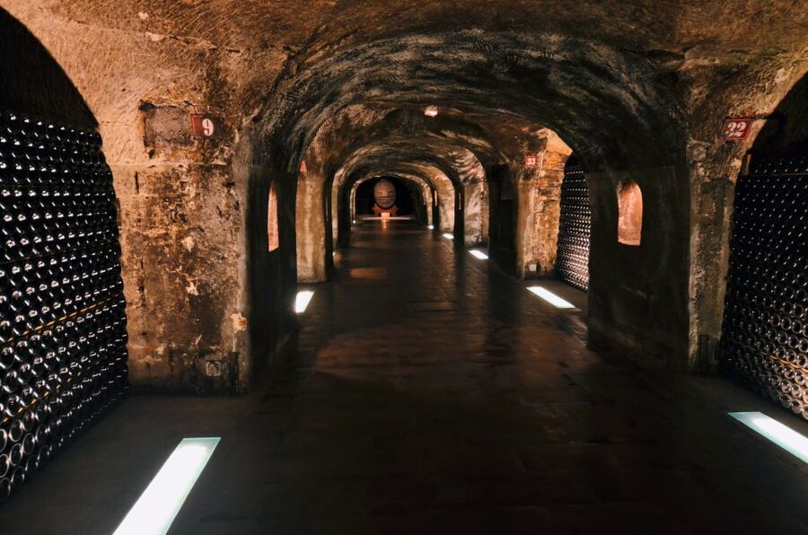 Paris: Private Day Trip to Champagne with 8 Tastings & Lunch - Stop 2 at a smaller winery: the contrast that makes tastings meaningful