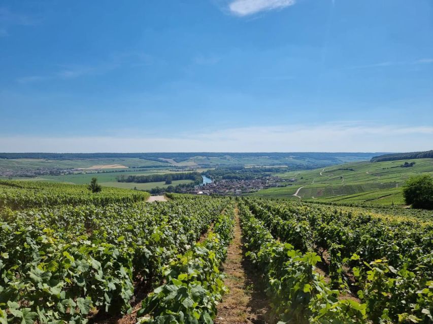 Paris: Private Epernay Trip with Champagne Vineyard Tastings - Key highlights worth planning for