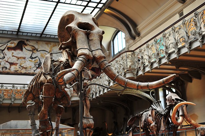 Paris Private Family Tour - Highlights & the Best Museum for Kids - Nelson Mandela Garden + playground time