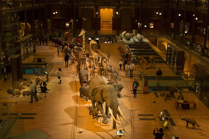 Paris Private Family Tour - Highlights & the Best Museum for Kids - Louvre Museum: a 10-minute start that doesn’t crush energy