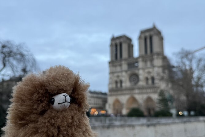 Paris Private Guided Walking Tour with Notre-Dame Visit - Meeting at Pont Neuf: how to start without stress