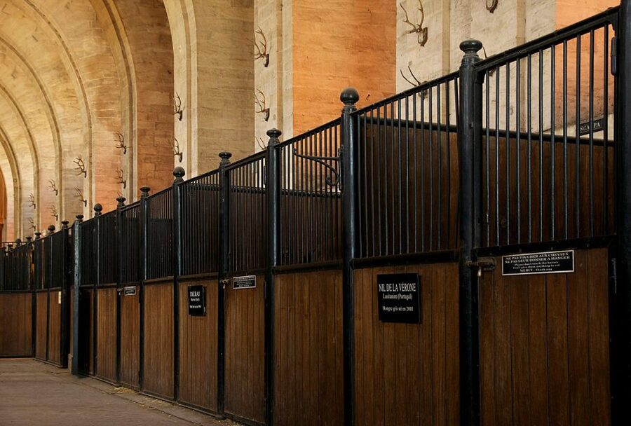 Paris: Private Tour of Domaine de Chantilly Ticket&Transfer - Who this tour suits (and who it might not)