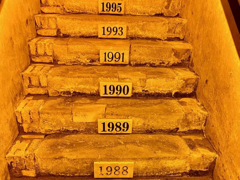 Paris: Ruinart and Veuve Clicquot Champagne Tour by Mercedes - Ruinart in Reims: UNESCO cellars and Grand Vintage tastings
