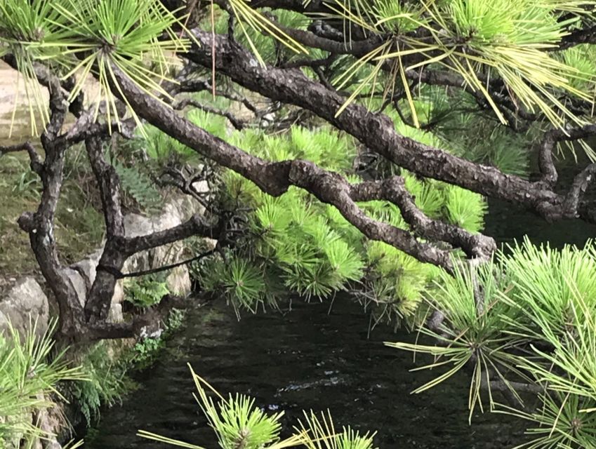 Paris Secret Gardens 1.30 hour long Walking Tour - French garden history you can picture (not just facts)