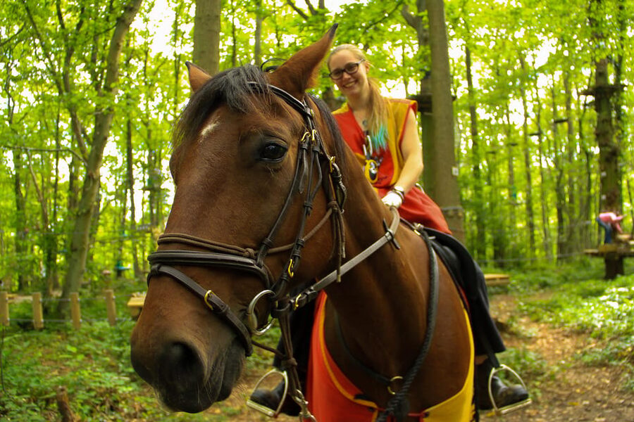 Paris : Sherwood Parc - Biggest Adventure Park Entry Ticket - Language support: French, Spanish, English staff