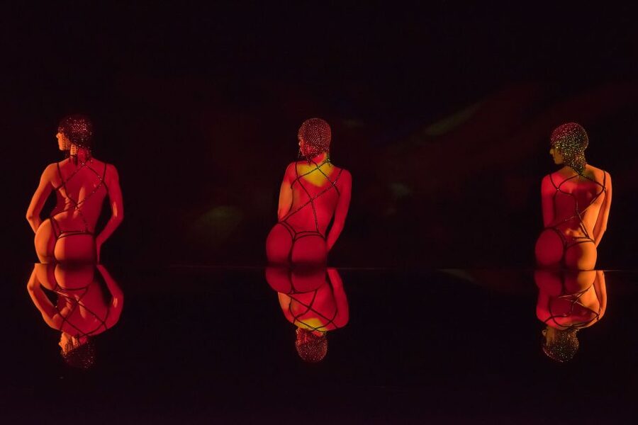 Paris: The Crazy Experience, a VIP tour of the Cabaret - The show up close: small stage, all-red mood, insider perspective