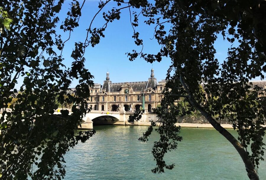 Paris: The Da Vinci Code Walking Tour with a Local Guide - Palais Royal Passages and the Rose Line Search