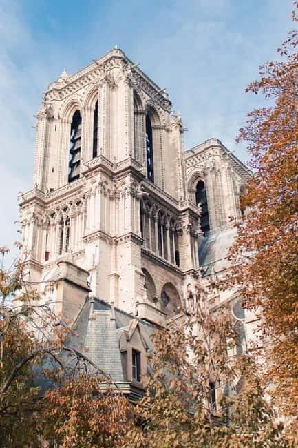Paris: The vibrant city center and Le Marais in German - Le Marais on foot: secret courtyards and tranquil pocket parks