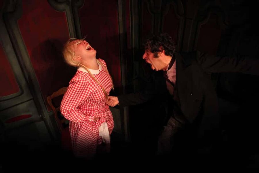 Paris: Theatre Package, The Lesson & The Bald Soprano - La cantatrice chauve and La leçon: what actually happens