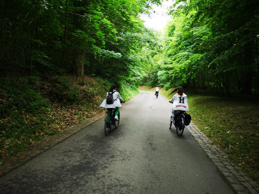 Paris: Versailles Palace and Queen Hamlet E-Bike Tour - Estate of Trianon stops and the Queen’s Hamlet visit