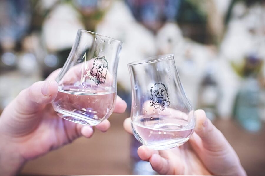 Paris Visit and gin tasting in English - The Tasting and Homemade Cocktail: How to Get the Most Out of It