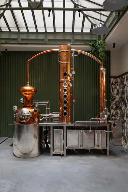 Paris Visit and gin tasting in English - Pricing and Value: Is $35 Worth One Hour?