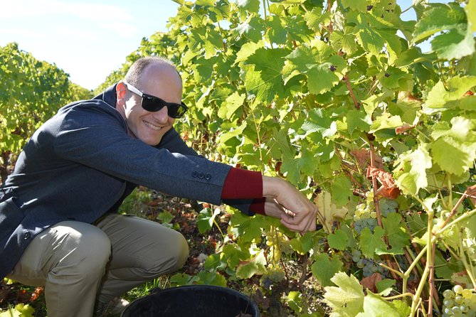 Paris Wine Day Tours exclusive Champagne tour incl. 3 visits - A 7:00 am start makes sense when Champagne is the destination