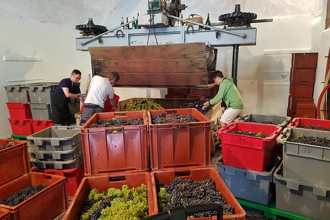 Paris Wine Day Tours exclusive Champagne tour incl. 3 visits - Epernay cellars: how Champagne is made, then tasting