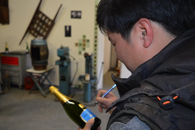 Paris Wine Day Tours exclusive Champagne tour incl. 3 visits - Small-group energy, and a guide who can keep it rolling