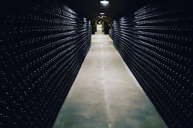 Paris Wine Day Tours exclusive Champagne tour incl. 3 visits - Who should book this Champagne day trip from Paris