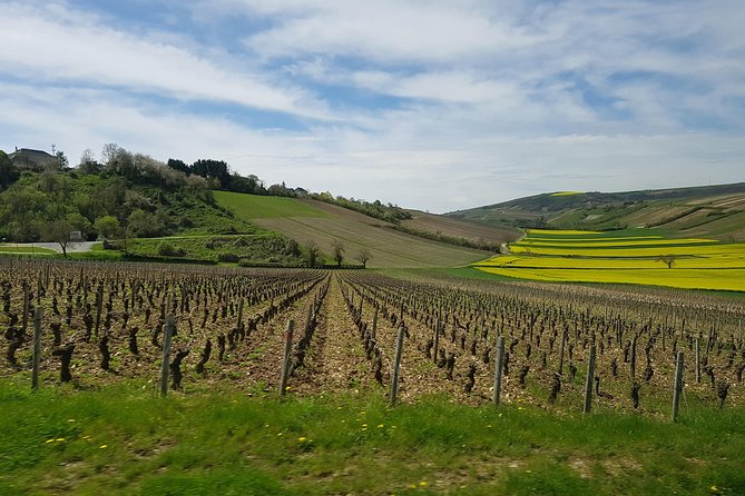 Paris Wine Day Tours exclusive wine tour in the Sancerre area - Key highlights to look for