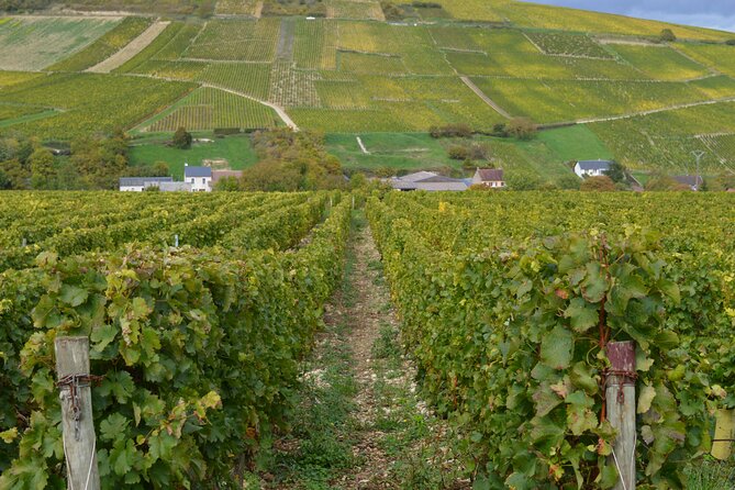 Paris Wine Day Tours exclusive wine tour in the Sancerre area - Sancerre Village and the Vineyard Walk