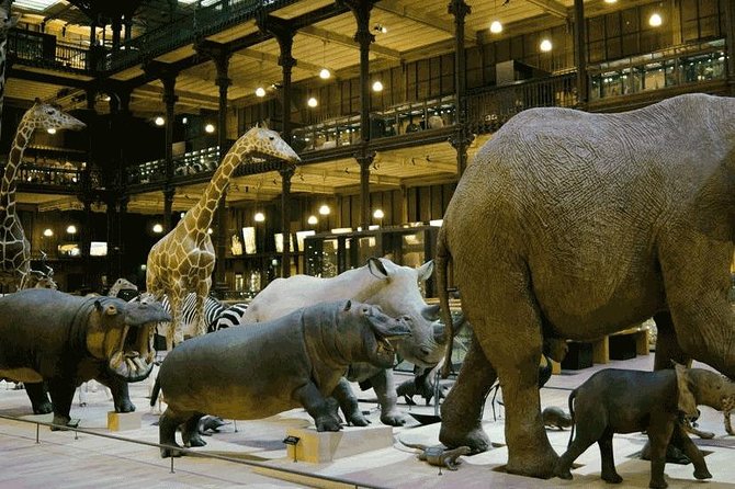 Paris With Kids - A Private Family Experience - The Louvre without the full museum marathon