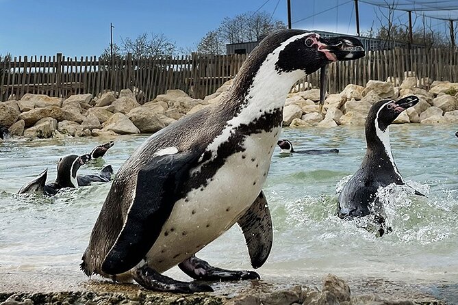 Parrot World Immersive Wildlife Park Entry Ticket next to Paris - A Tropical Break From Paris, 45 Minutes Out