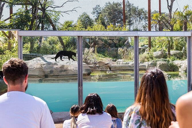 Parrot World Immersive Wildlife Park Entry Ticket next to Paris - Getting There From Paris or Disneyland Paris