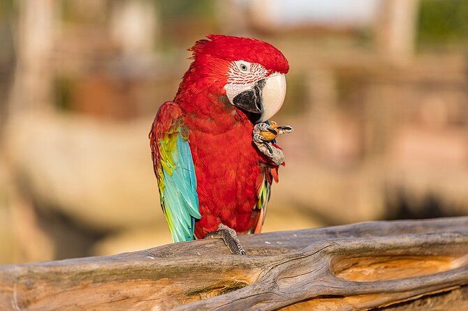 Parrot World Immersive Wildlife Park Entry Ticket next to Paris - Walking the Amazonia and Patagonia Treks