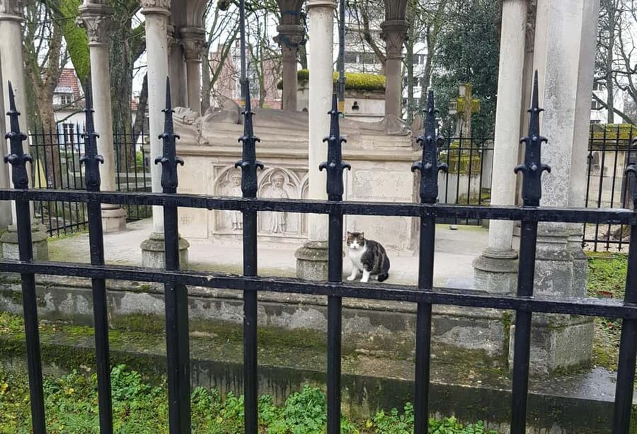 Père-Lachaise : histoires et mystères contés par un comédien - Who should book (and who should skip)