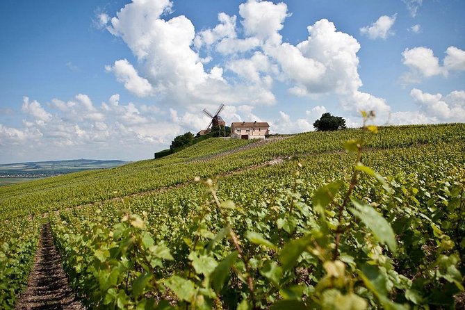 Private 10-hour round transfer to Champagne Epernay from Paris. Best offer! - Getting picked up in Paris without the usual headache