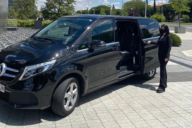 Private 4-hour city tour of Paris with driver and official guide - Arc de Triomphe: Optional Close-Up Time That Actually Helps