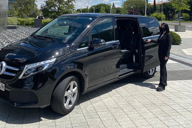 Private 8-hour city tour of Paris with driver and official guide - Hotel pick up - Notre-Dame de Paris: outside viewing done right