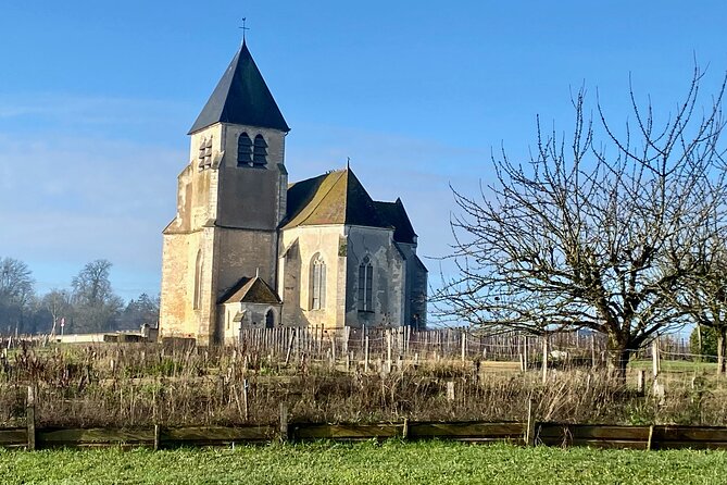 Private Burgundy 3 Domaines Chateau Pommard Chablis 15 Wines Trip - Domaine Jean-Marc Brocard: a guided Chablis tasting from style to classification
