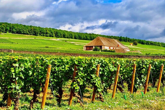 Private Burgundy 3 Domaines Chateau Pommard Chablis 15 Wines Trip - Chablis village free time: where you can choose your own flavor of lunch