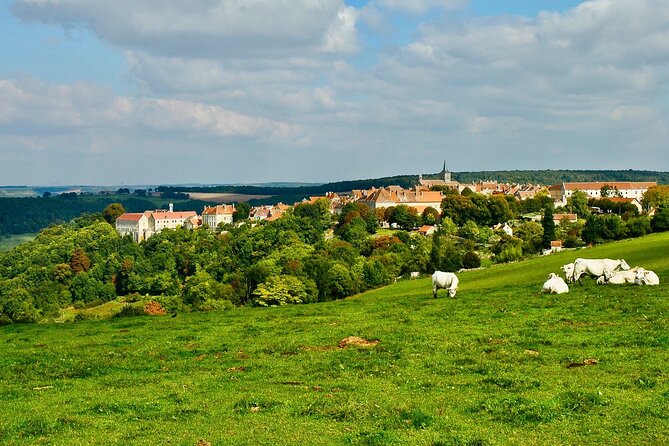 Private Burgundy 3 Domaines Chateau Pommard Chablis 15 Wines Trip - Price and value: what your $668.28 covers (and what it doesn’t)