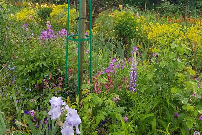 Private Car Trip to Giverny Garden from Paris - What this costs and why it can still be good value