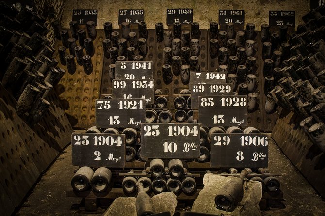 Private Champagne Day Trip - Two Vineyards of Reims & Lunch - What to Expect From Timing and Group Flow