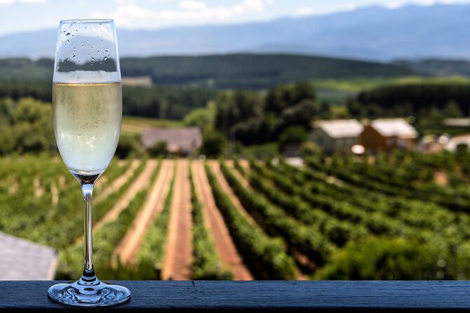Private Champagne Day Trip - Two Vineyards of Reims & Lunch - Your Local Guide Makes the Region Make Sense