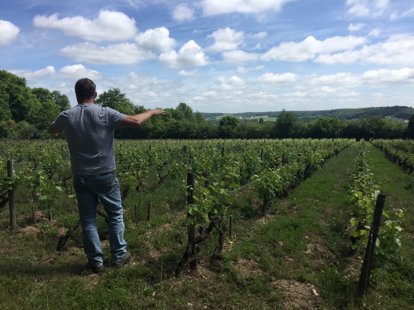Private Day Tour to Loire Valley Castles & Wines from Paris - Two winery experiences: guided learning plus a flexible tasting flight