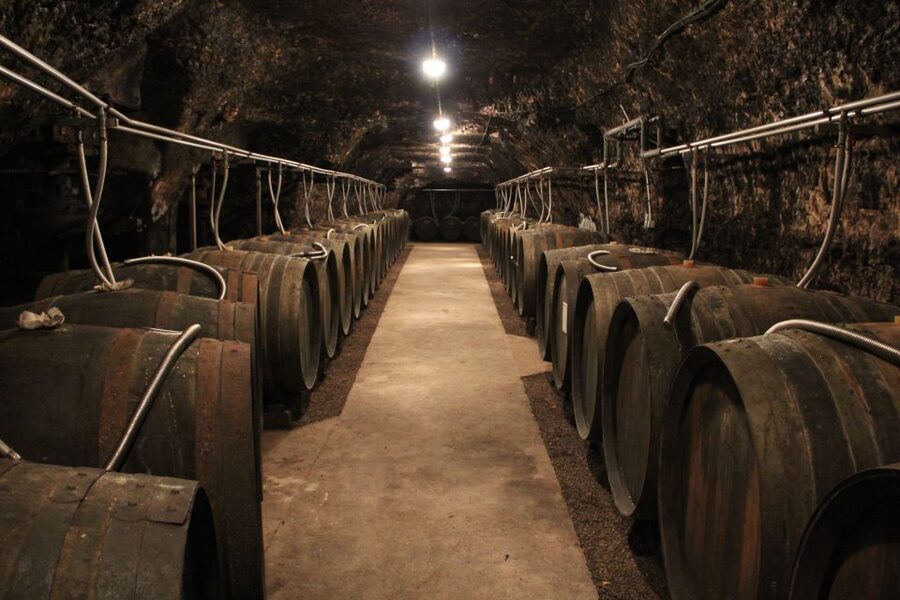 Private Day Tour to Loire Valley Castles & Wines from Paris - Price and value: $1,817 isn’t cheap, but it covers more than you’d expect