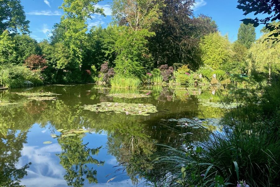 Private Giverny Monet’s House & Gardens Trip from Paris - Car comfort and what the private format really changes