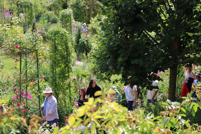 Private Giverny & Versailles Day Trip with Lunch & Hotel Transfers from Paris - Who this tour suits best (and who should rethink it)