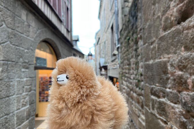 Private Guided Mont Saint Michel & D-day tour from Paris - Omaha Beach in 30 Minutes: A Short Visit That Still Matters