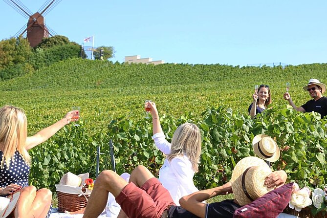 Private Guided Tour in Champagne from Paris with Moet&Chandon visit. - Chatillon-sur-Marne independent winemaker: six generations and three cuvées